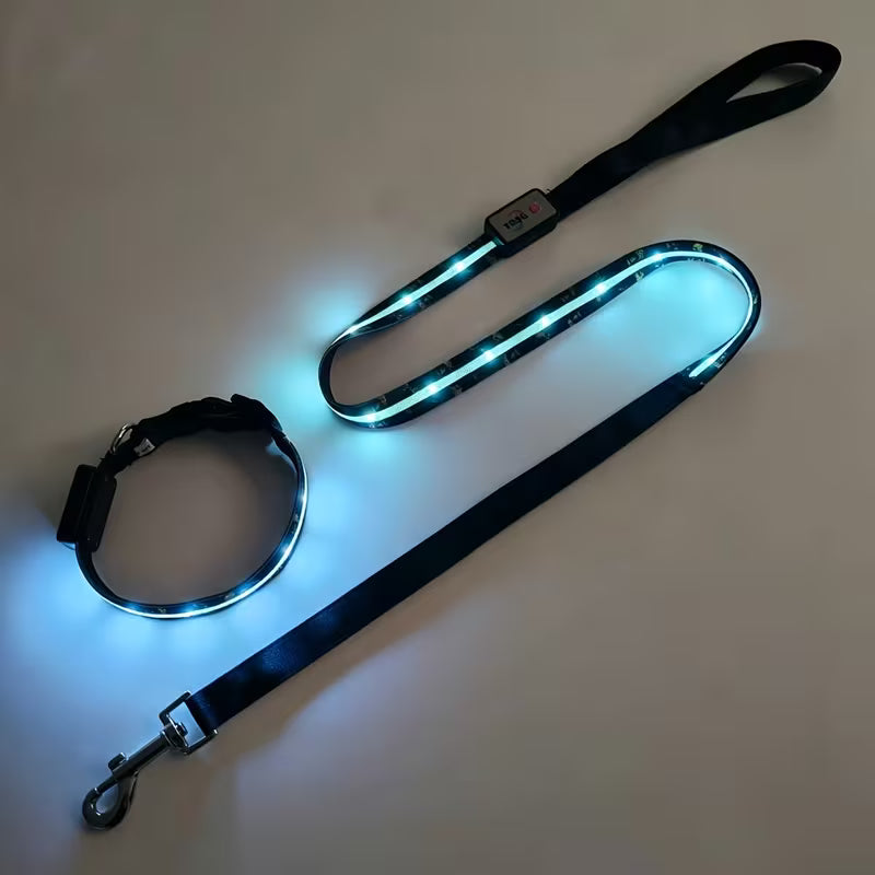 2pcs Set LED Pet Collar