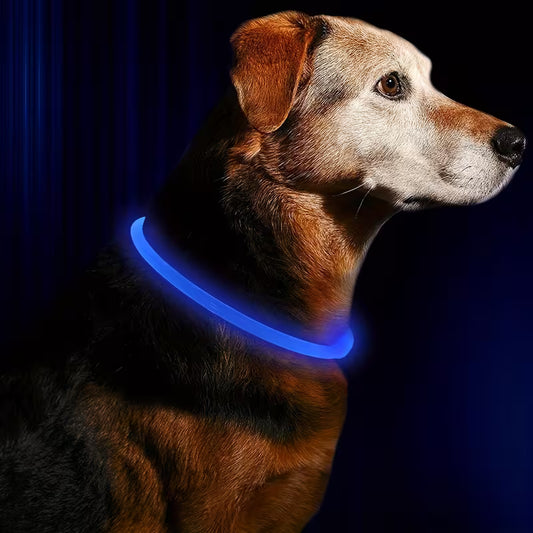 LED Dog Collar