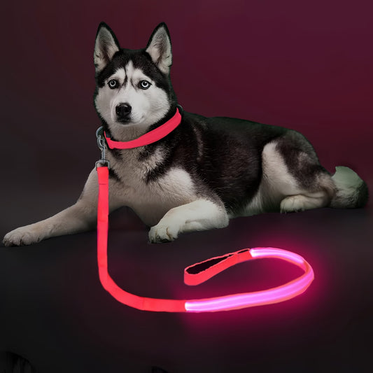 LED Dog Leash