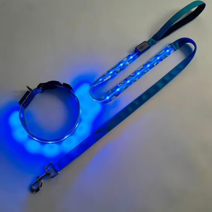 2pcs Set LED Pet Collar