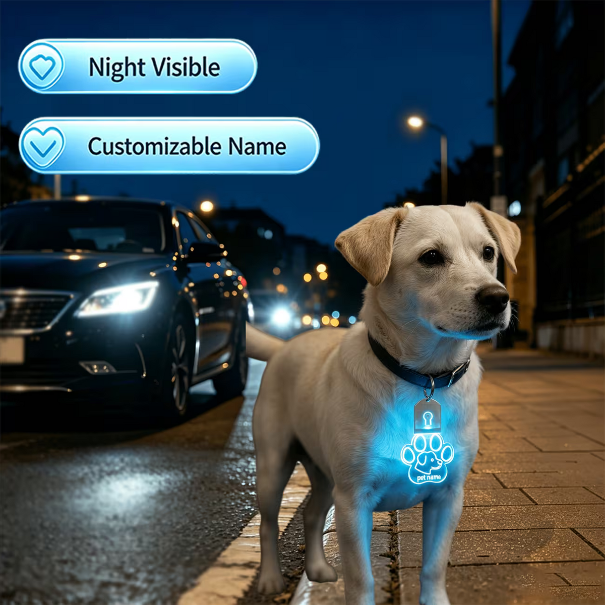 1pc Custom Pet Name Pet Luminous Tag