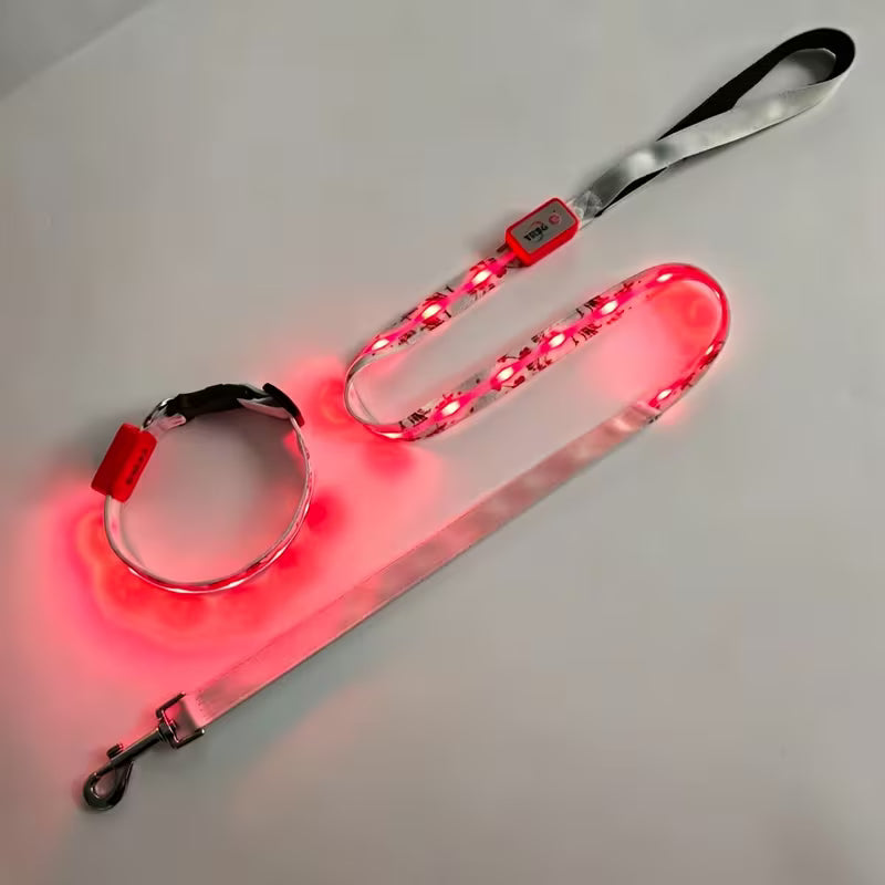 2pcs Set LED Pet Collar