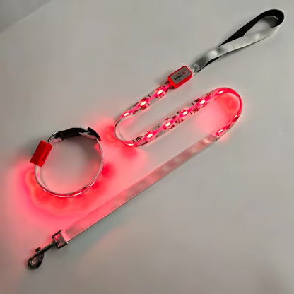 2pcs Set LED Pet Collar