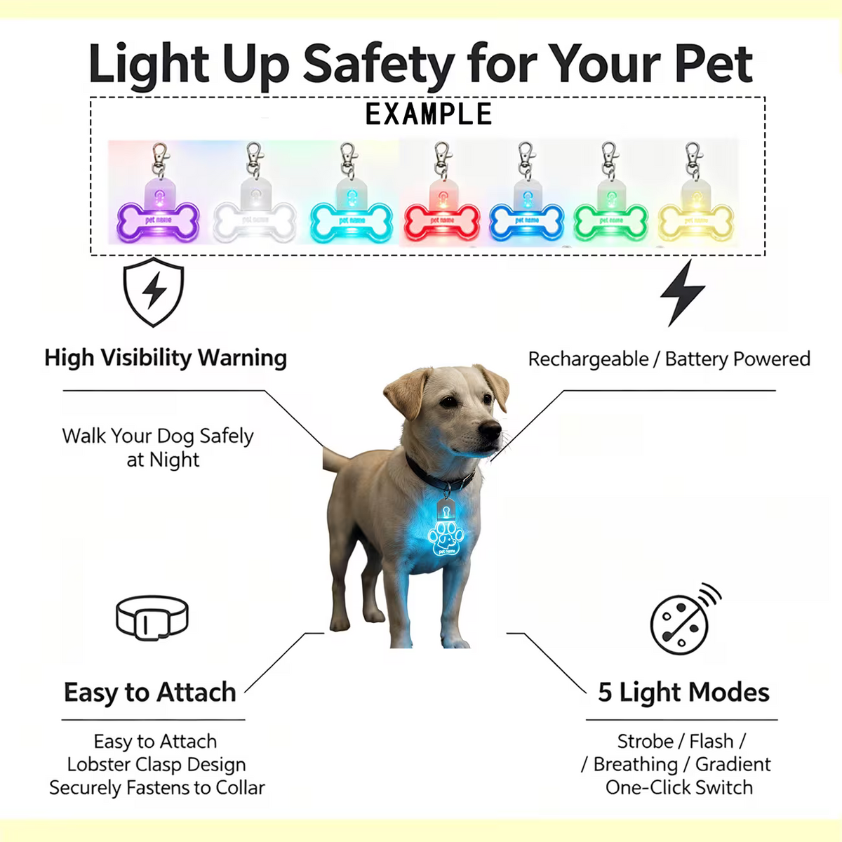 1pc Custom Pet Name Pet Luminous Tag