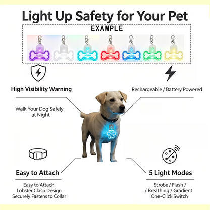 1pc Custom Pet Name Pet Luminous Tag
