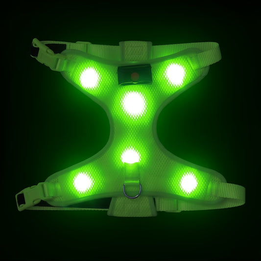 LED Pet Harness