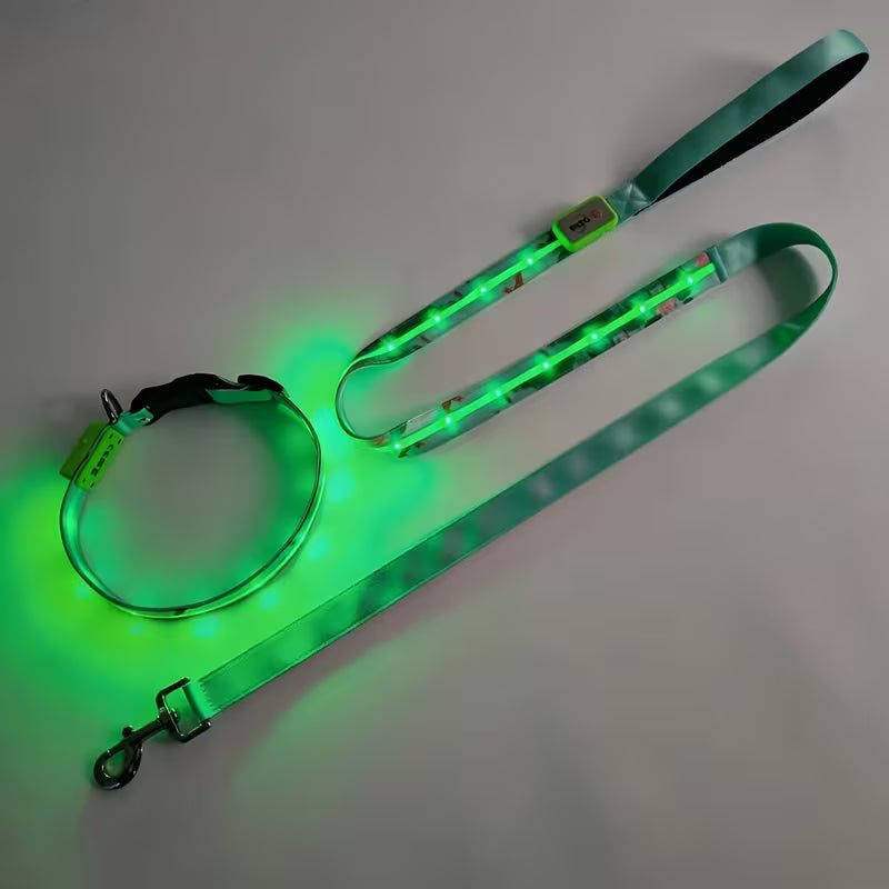 2pcs Set LED Pet Collar