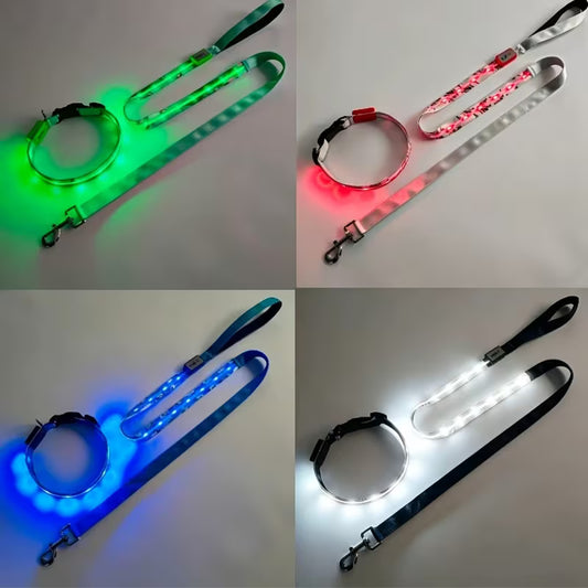 2pcs Set LED Pet Collar