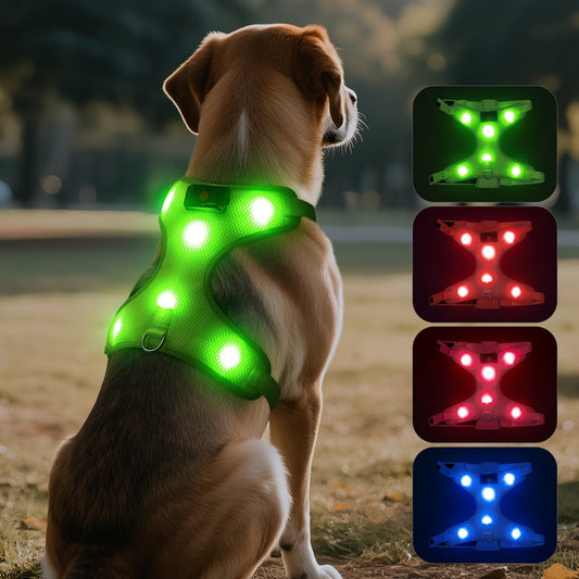 LED Pet Harness